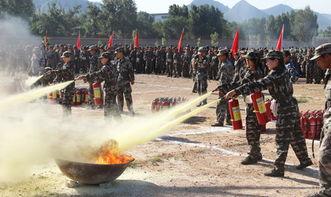 隼消防团,英勇无畏，守护平安的消防先锋